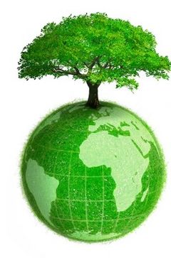 Immagine profilo di greeneconomy